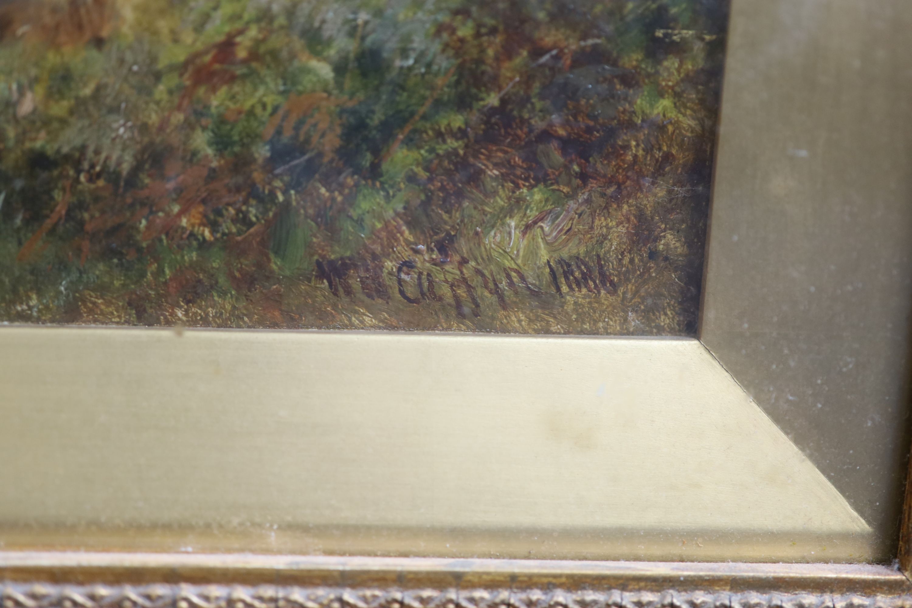 Walter Wallor Caffyn (1845-1898), A Shady Nook in Betchworth Park, Surrey, Oil on canvas, 30 x 45cm.